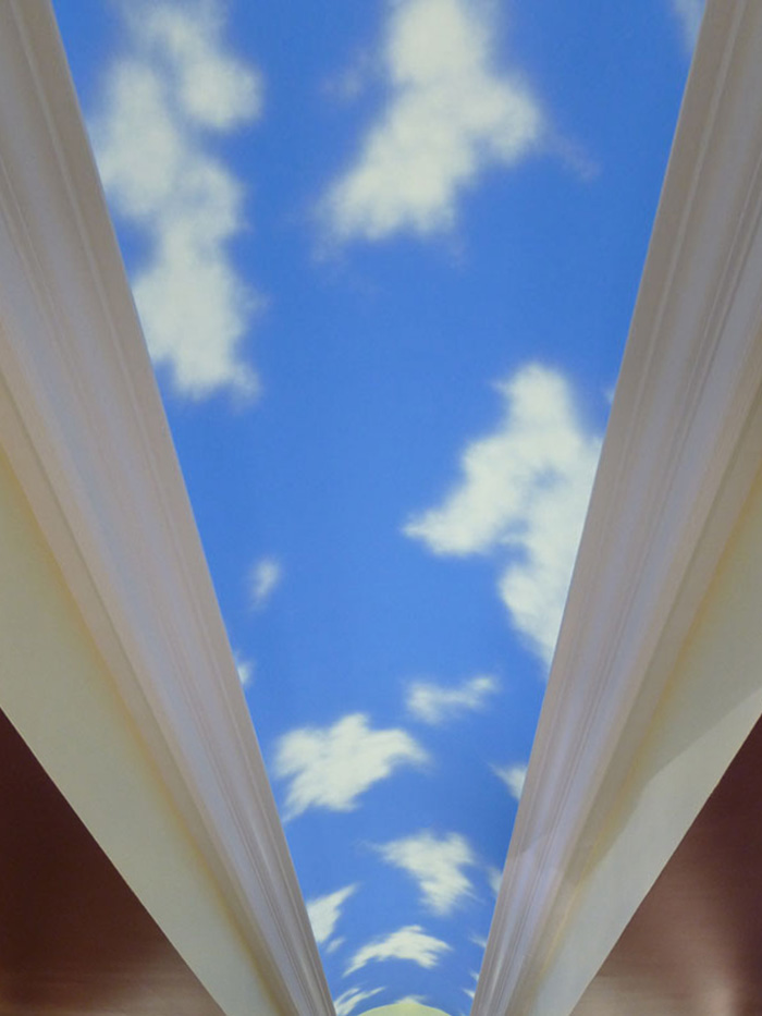 Check out our Ceiling Sky Mural Solutions.