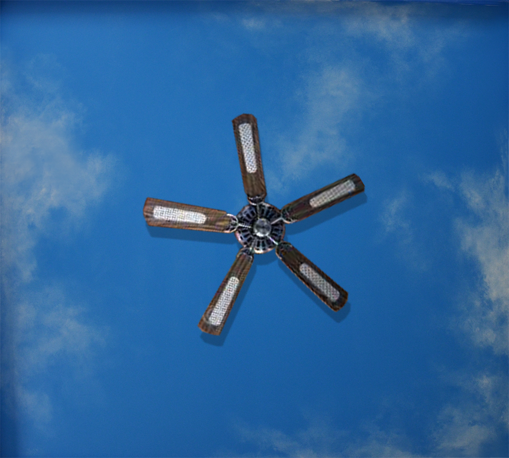 Check out our Ceiling Sky Mural Solutions.